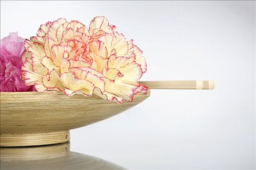 康乃馨,碗,筷子