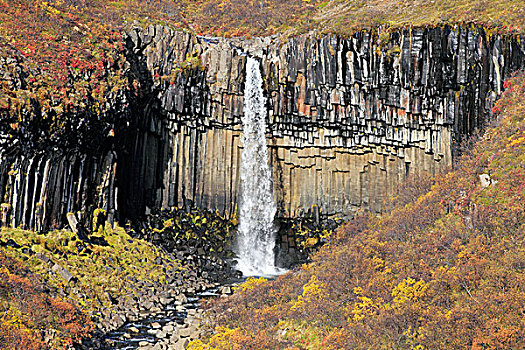 史瓦提瀑布,瀑布,秋天,斯卡夫塔菲尔国家公园,岛屿