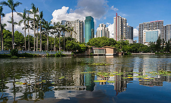 深圳城市风光