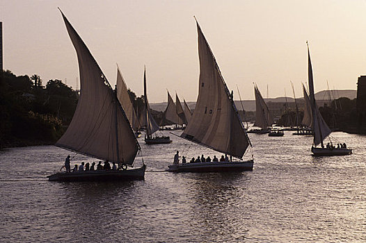 埃及,阿斯旺,尼罗河,三桅小帆船,游客