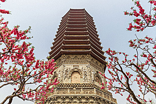 春天北京玲珑公园兹寿寺塔