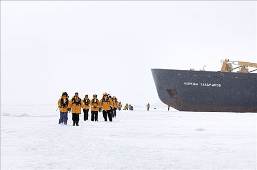乘客,破冰船,走,冰原,南极