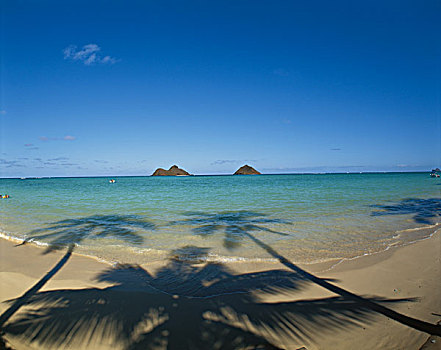 夏威夷,瓦胡岛,风景,海滩,大幅,尺寸