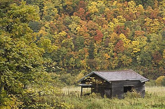 原木,小屋,北海道,日本