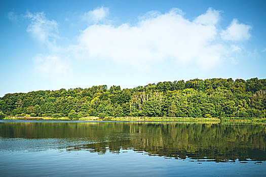 自然風光,湖,風景,樹,綠色,彩色