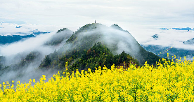 安徽黄山石潭春天风光