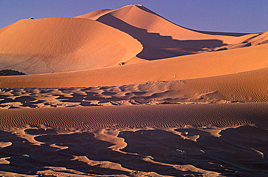 非洲,纳米比亚,纳米比沙漠,国家公园,索苏维来地区,沙丘