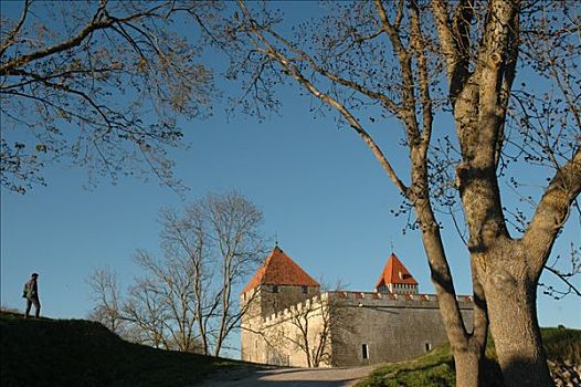 中世纪,主教,城堡,爱沙尼亚