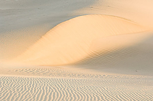 沙丘,黎明,死亡谷国家公园,美国
