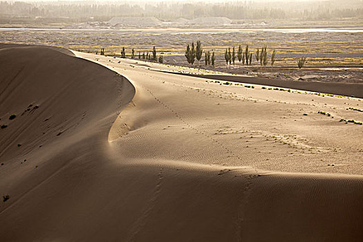 死亡之海,塔克拉玛干沙漠,新疆和田地区