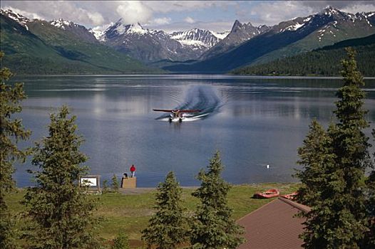水上飞机,降落,湖,住宿,室内,阿拉斯加山脉,夏天