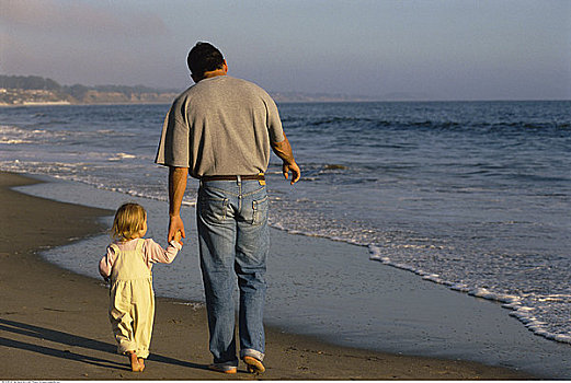 后视图,父亲,女儿,走,海滩,握手