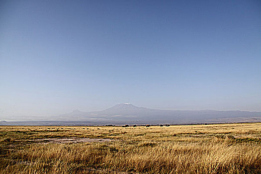 肯尼亚安博塞利大草原-雪山远景