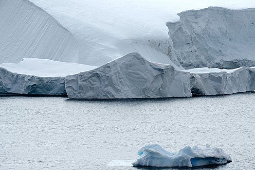 冰河,大,冰山,天堂湾,南极半岛
