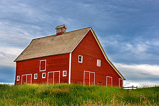 美好,红色,谷仓,晨光,靠近,凯利斯贝尔,蒙大拿,美国