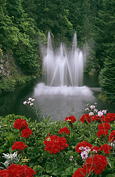 喷泉,花园,宝翠花园,维多利亚,不列颠哥伦比亚省,加拿大
