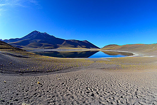泻湖,靠近,佩特罗,阿塔卡马沙漠,区域,安托法加斯塔,智利,南美