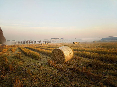 晨曦,乡村风景,草垛子