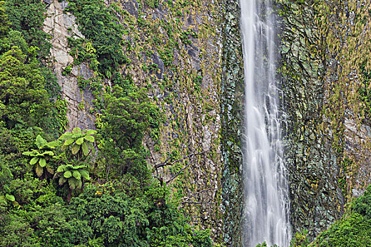 瀑布,峡湾国家公园,南部地区,南岛,新西兰