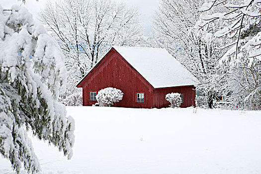 美国,佛蒙特州,红色,积雪,谷仓