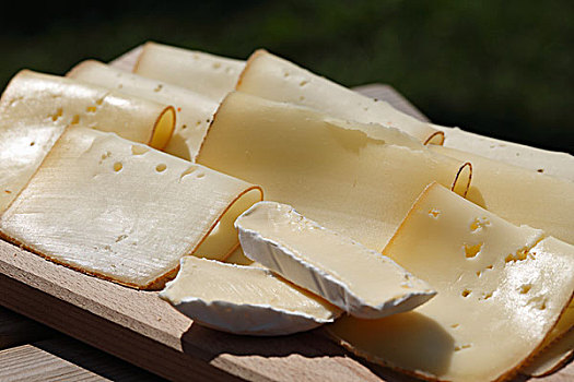 奶酪,天然奶酪,乳业,陆地,上巴伐利亚,巴伐利亚,德国,欧洲
