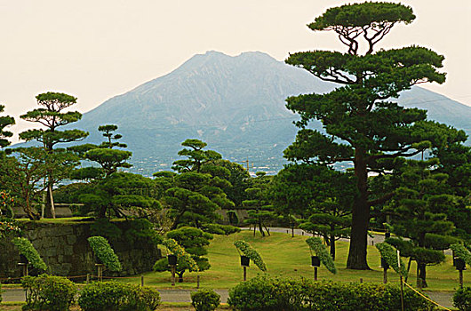 日本,九州,鹿儿岛,花园,火山