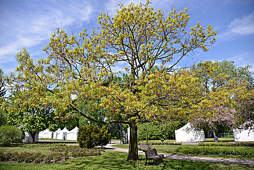 spot-,jardin,botanique,insectarium