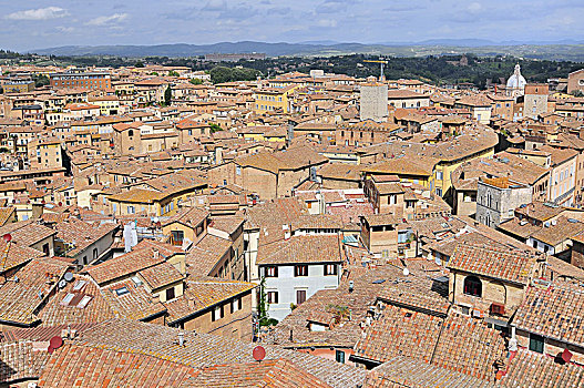 看,俯视,锡耶纳,屋顶,罗马式建筑
