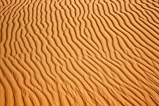 红色,沙子,沙丘,沙漠,阿布扎比,阿联酋,中东