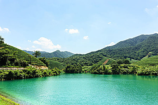 清晰,湖,围绕,山