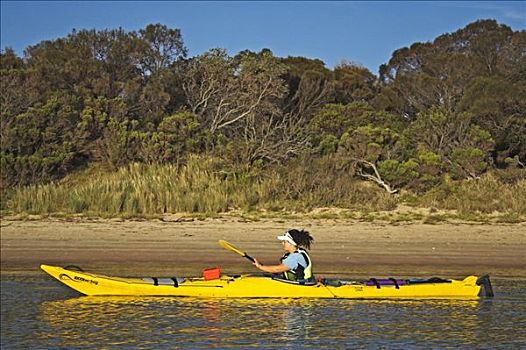 女人,独木舟,国家公园,塔斯马尼亚,澳大利亚
