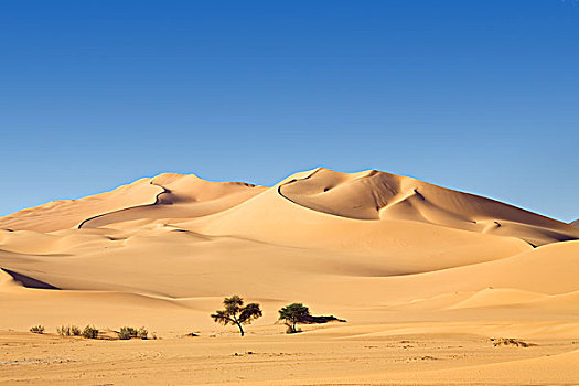 沙丘,风景,利比亚