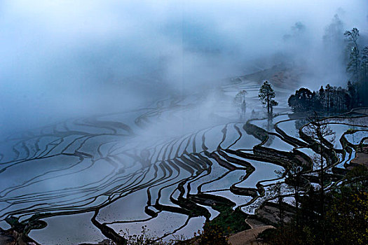 元阳梯田