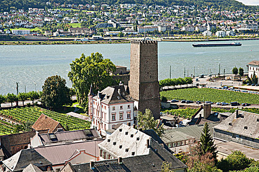 城堡,莱茵河,莱茵,德国