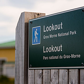 远足,广告牌,格罗莫讷国家公园,纽芬兰,拉布拉多犬,加拿大
