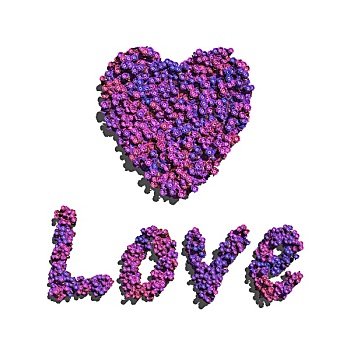 紫色,喜爱,心形,创作,花,白色背景