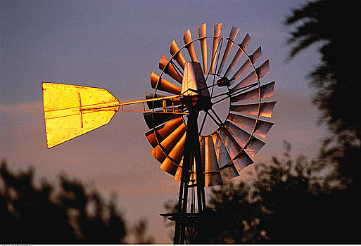风车,巴罗萨峡谷,澳洲南部,澳大利亚