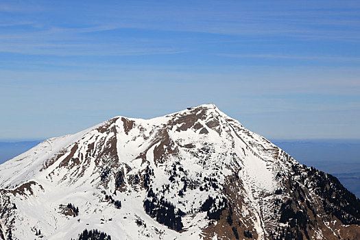 山顶,瑞士,阿尔卑斯山,山,航拍