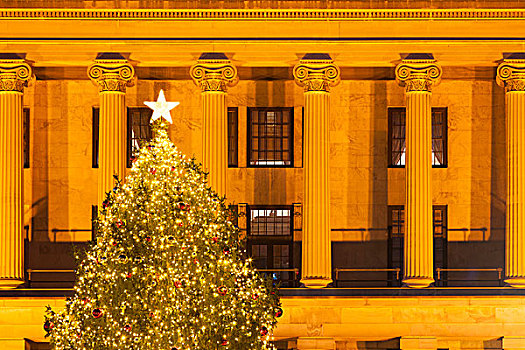 圣诞树,田纳西,国会大厦,纳什维尔,美国