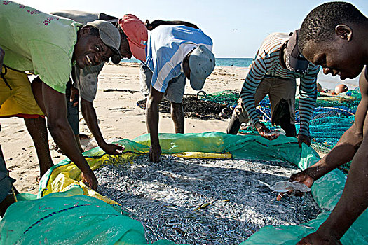 渔民,岛屿,群岛,北方,莫桑比克