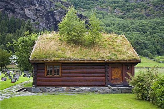 草皮,屋顶,建筑,山谷,挪威