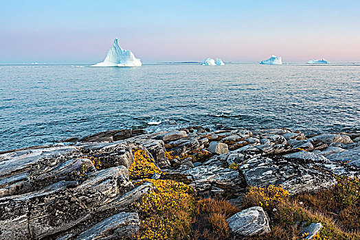 冰山,平和,海洋,迪斯科,岛屿,格陵兰