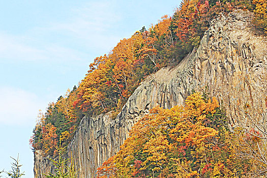 山,国家公园,秋叶,北海道