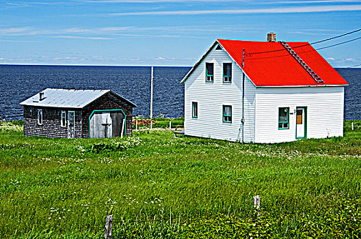 房子,远眺,海岸,加斯佩半岛,魁北克,加拿大