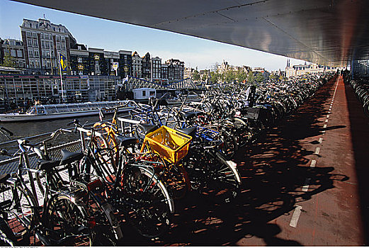 自行车,阿姆斯特丹,荷兰