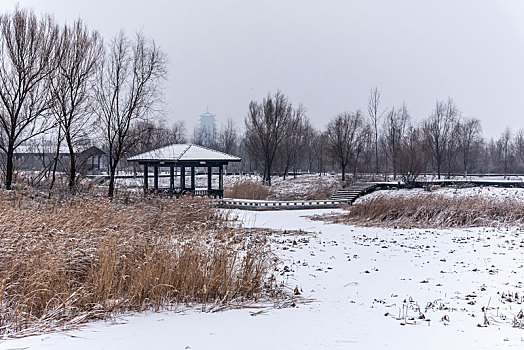 雪中的长春北湖湿地公园景观