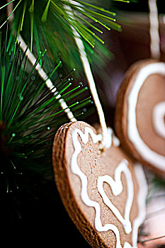特写,心形,饼干,悬挂,圣诞树