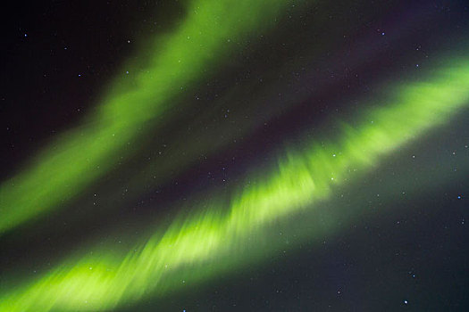 北极光,夜空,国家公园,拉普兰,芬兰