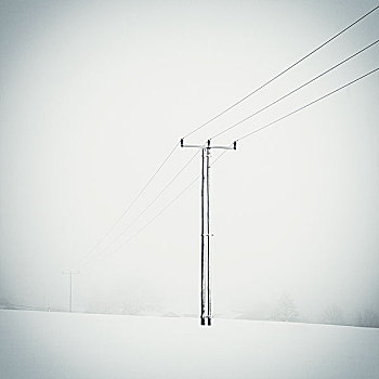 电线杆,冬天