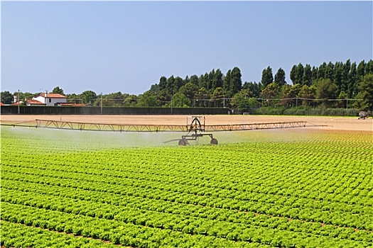 灌溉